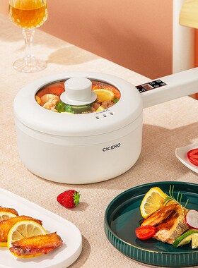 700W Electric Cooking Pot Portable Hot Pot Rice Cooker Multi