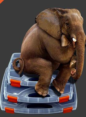 New Toolbox Practical ABS Plastic Screw Tool Storage Box wit