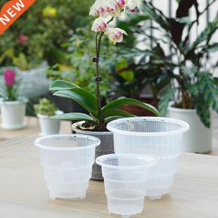 Resin Mesh Pot Clear Orchid Flower Vegetable Planting Contai