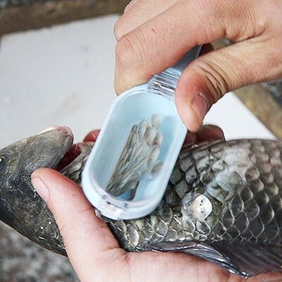 New Cooking Tool Kitchen Seafood Tools Fish Skin Remover Cle