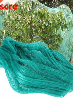 Insect 4x10m Anti Bird Net Garden Netting Tree Fruit Plant P