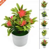 Potted Plants Bonsa Outdoor Office Realistic Home Artificial