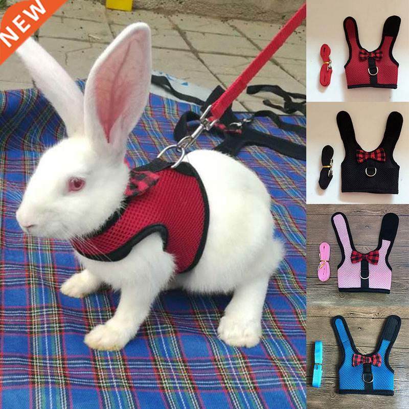 pet mesh soft harness with leash small animal vest lead for