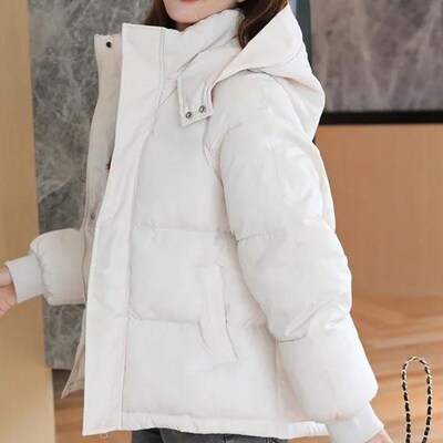 2021 winter women's hooded zipper loose down jacket wome
