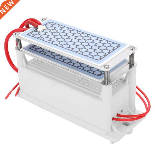 Professional 10g/h Ceramic Ozone Generator Double Integrated