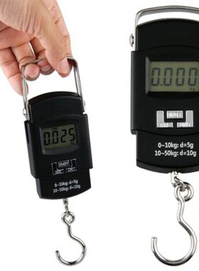 50KG/110LB 10g Electronic Scale Hanging Hook Fishing Travel