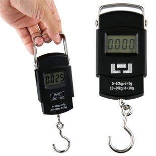 50KG/110LB 10g Electronic Scale Hanging Hook Fishing Travel