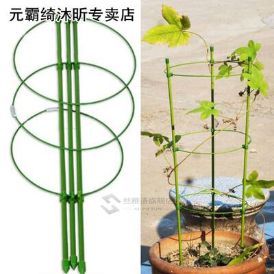 Vegetables Support Frame Gardening Tool Decorative Trellis P