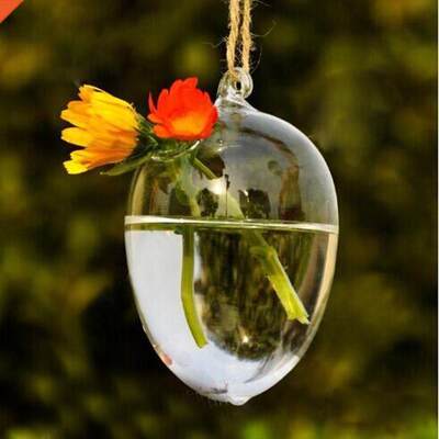 Clear Egg Shape Glass Hanging Vase Bottle Terrarium Pot Tabl