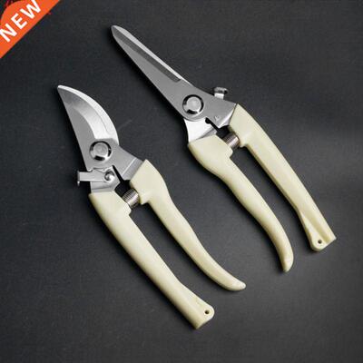 Sécateur arbre coupe jardinage élagage cisaill