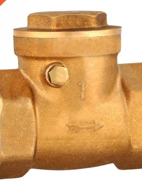 232PSI Non-return Swing Check Valve Female Thread Pluming W