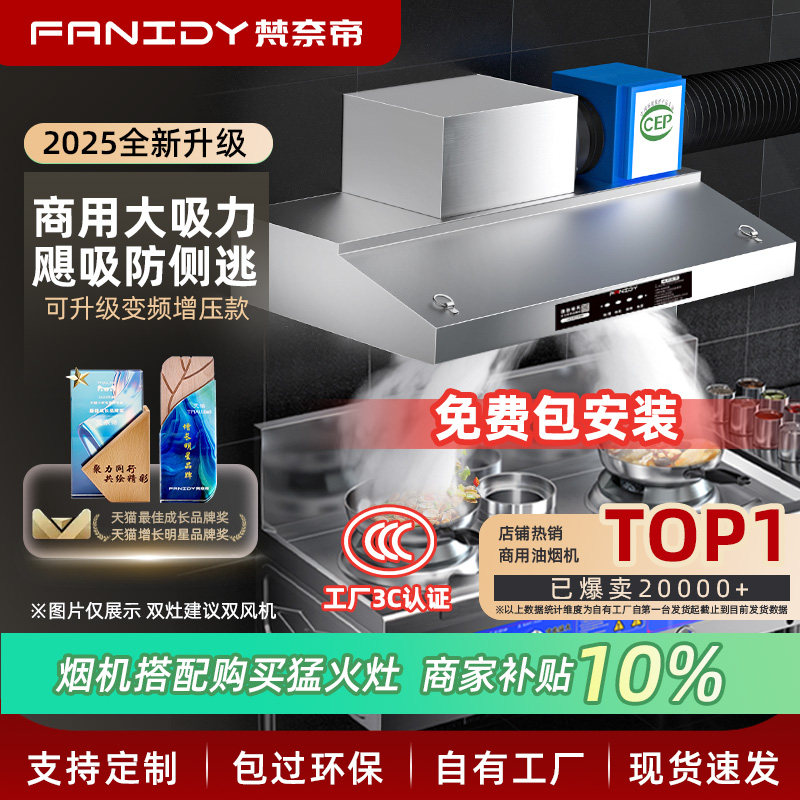 梵奈帝抽油烟机商用饭店炸鸡餐饮低空排放大吸力油烟净化器All