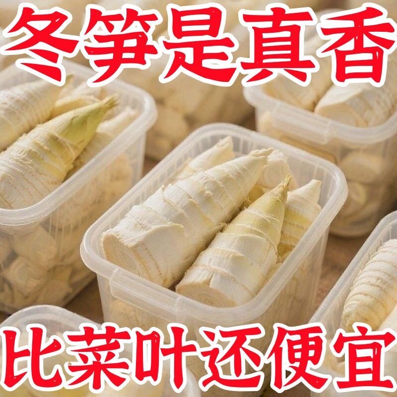 非真空包装大冬笋新鲜竹笋水煮笋春笋清水笋楠竹笋蔬菜火锅食材批