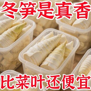 非真空包装大冬笋新鲜竹笋水煮笋春笋清水笋楠竹笋蔬菜火锅食材批