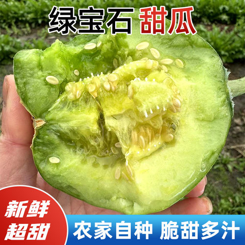 乔诚绿宝石甜瓜小香瓜现摘现发