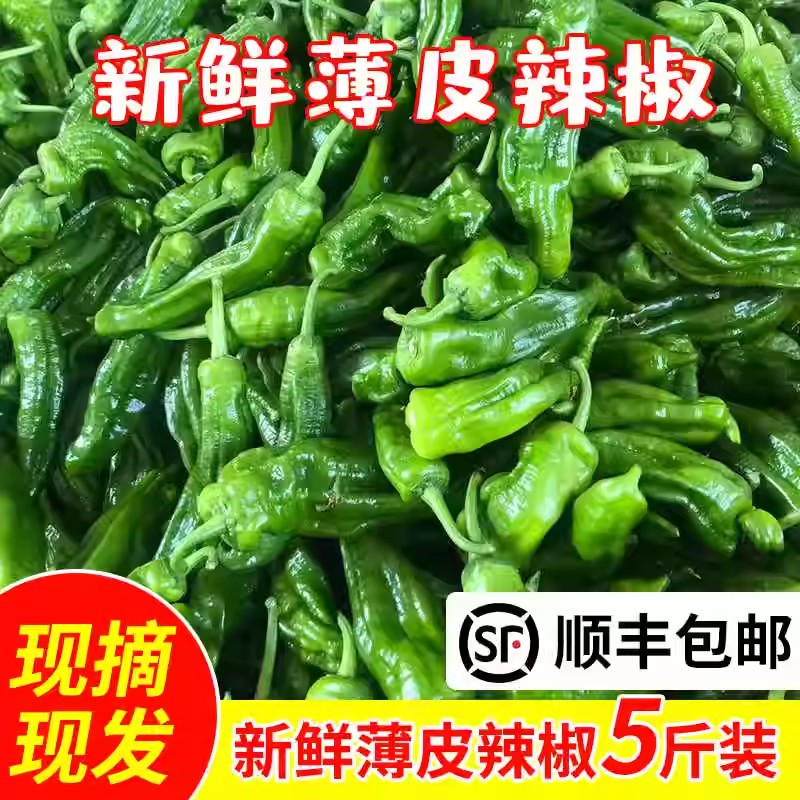 苏北农家自种新鲜虎皮青椒