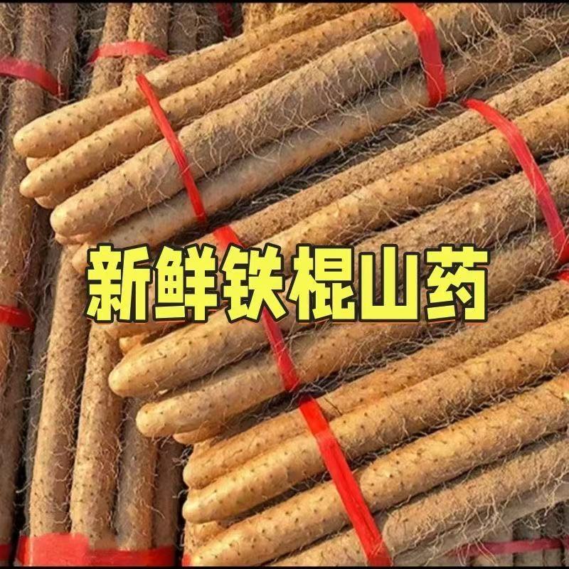 乔诚小白嘴铁棒杆铁棍山药现挖图片