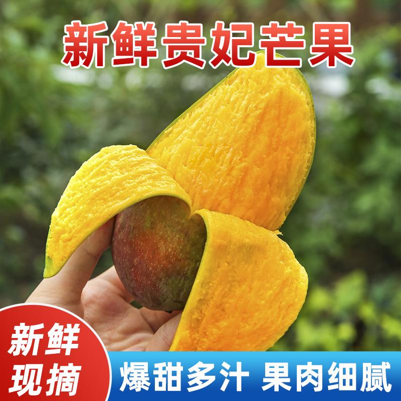 海南貴妃芒芒果新鮮當(dāng)季熱帶水果大芒果自然熟紅金龍黃金甜心現(xiàn)摘