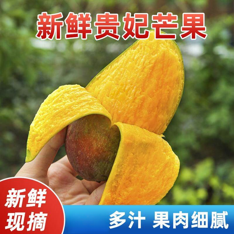 海南贵妃芒芒果新鲜当季热带水果大芒果自然熟红金龙黄金甜心现摘