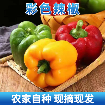 新鲜水果七彩椒甜椒香辣五彩圆红青辣椒太空灯笼黄椒生吃蔬菜沙拉