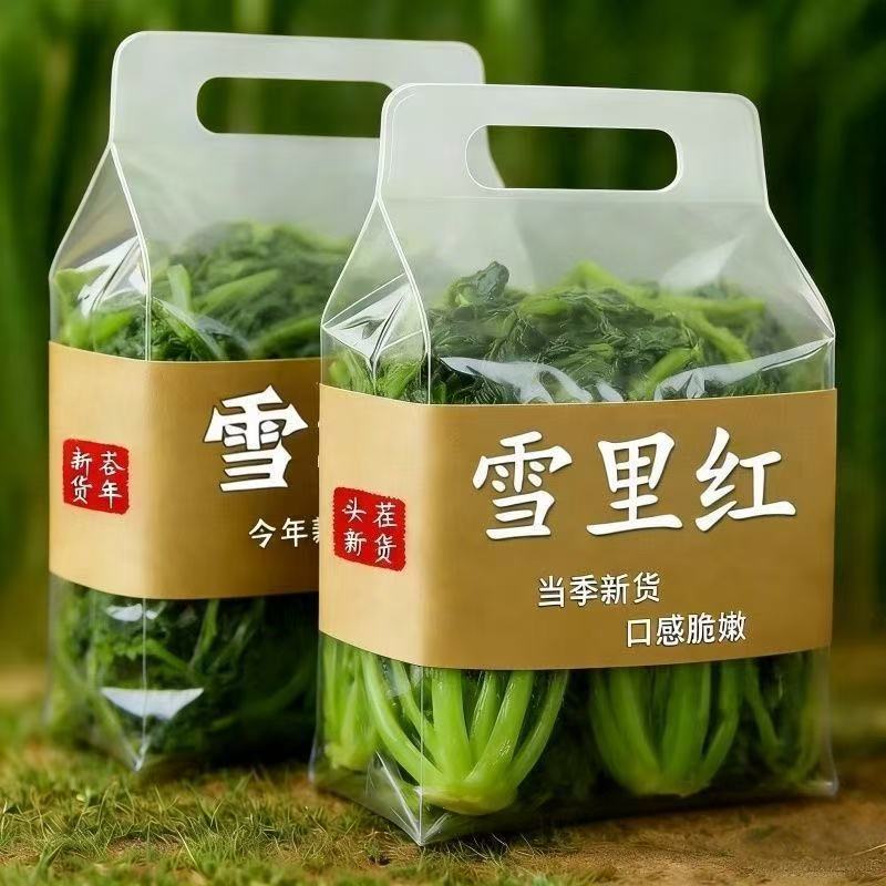 苏北农家新鲜绿雪里红蕻雪菜咸菜宁波特产商用开味下饭菜腌开胃菜图片
