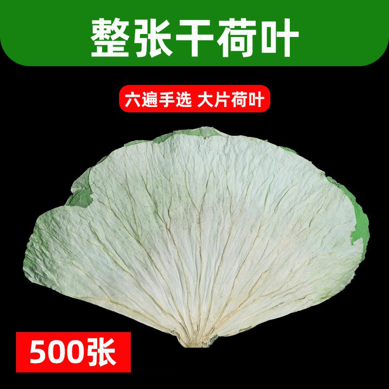 荷叶整张新鲜大号干荷叶片整片包鸡熬粥专用糯米鸡叫花鸡黄泥窑鸡