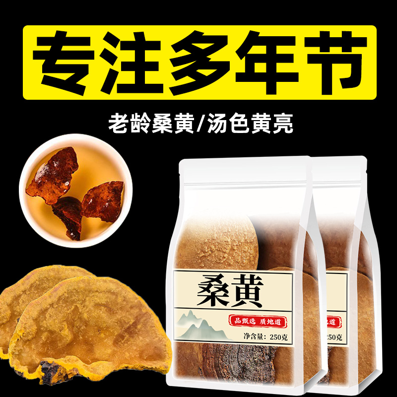 桑黄的功效中药材茶包500g正宗非西藏野生桑树桑黄茶灵芝粉泡陈皮