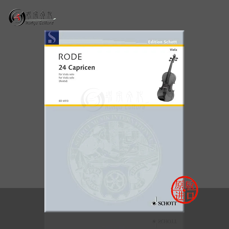 罗德24首随想曲中提琴独奏