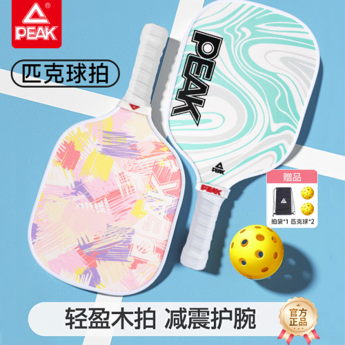 匹克球拍匹克训练室内外运动拍pickleball成人学生亲子专业套装