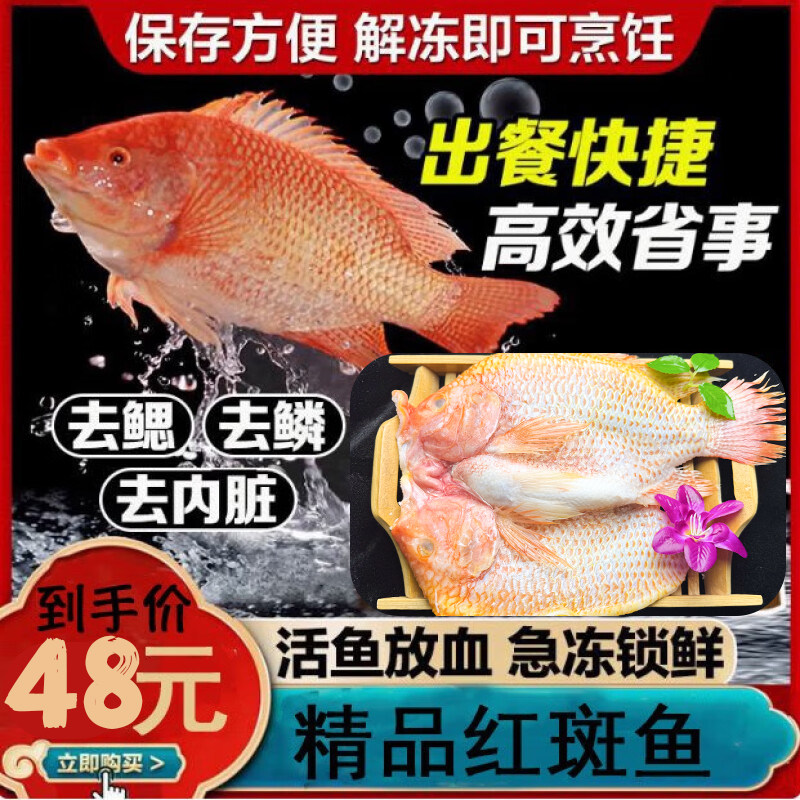 新鲜冷冻红斑鱼生鲜鱼类海鲜鲜活红罗非鱼红鲷鱼三去红斑鱼