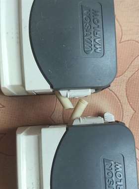 议价WATSON  MARLOW马洛313DF翻盖式蠕动泵头适用