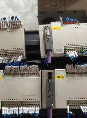 议价SOFTLINK欧辰PLC  ,RT132-1BL00-DP适用