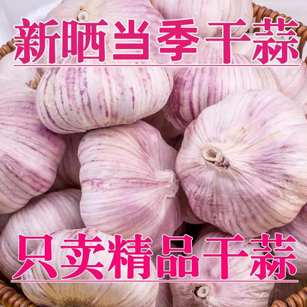 新干蒜大蒜头5斤紫白皮蒜籽干蒜紫皮大祘自种10斤非鲜蒜批发包邮