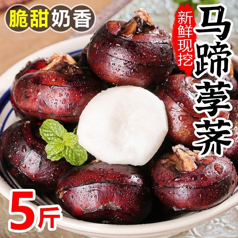 正宗马蹄广西新鲜荸荠现挖脆甜蔬菜时令水果生吃即食煮熟多种吃法,水产肉类/新鲜蔬果/熟食,荸荠/马蹄,淘宝优惠券,粉丝福利购,淘宝优惠卷