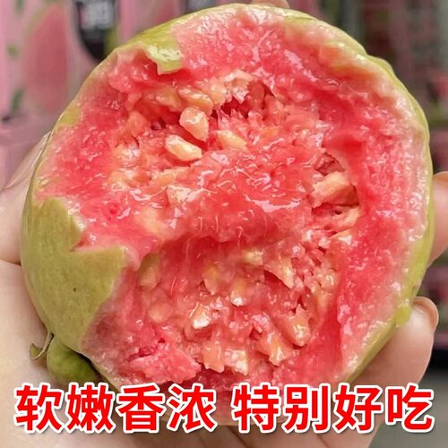 现摘红心软芭乐广西番石榴新鲜甜