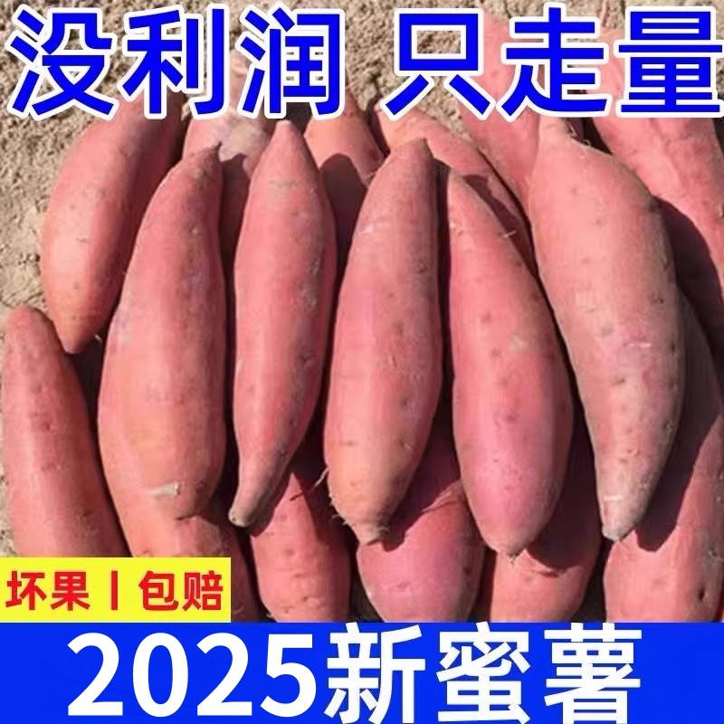 现挖蜜薯烤地瓜正宗9斤香甜红薯