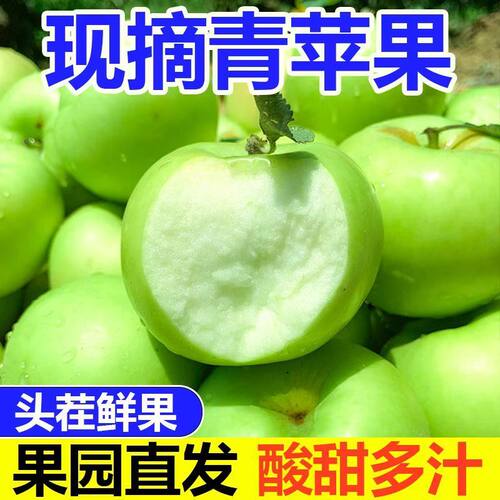 现货青苹果酸脆可口当季水果整箱