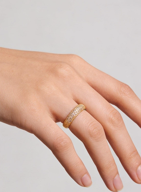 analuisaS925银双排钻戒指