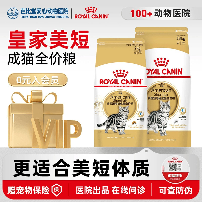 皇家ASA31英国短毛猫专用粮