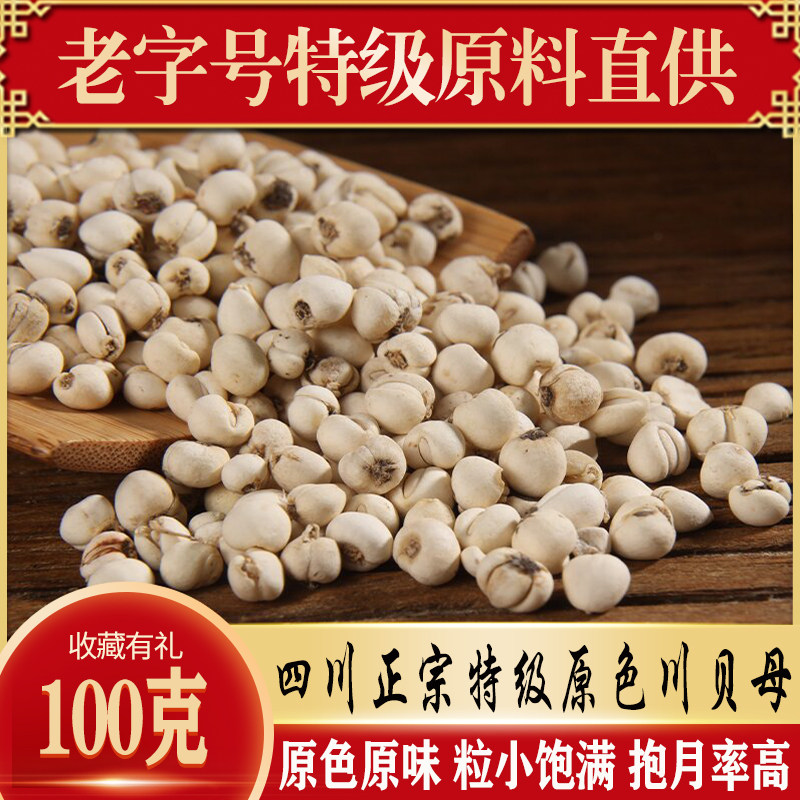 四川正宗野生川贝母特级中药材米贝正品尖贝无硫松贝100g免费打粉