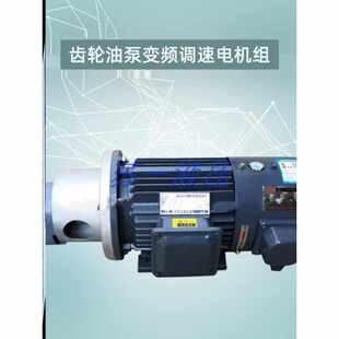 B63 B125齿轮油泵电机 B25 B40 B16 B10 B6JZ B100 新款 B50