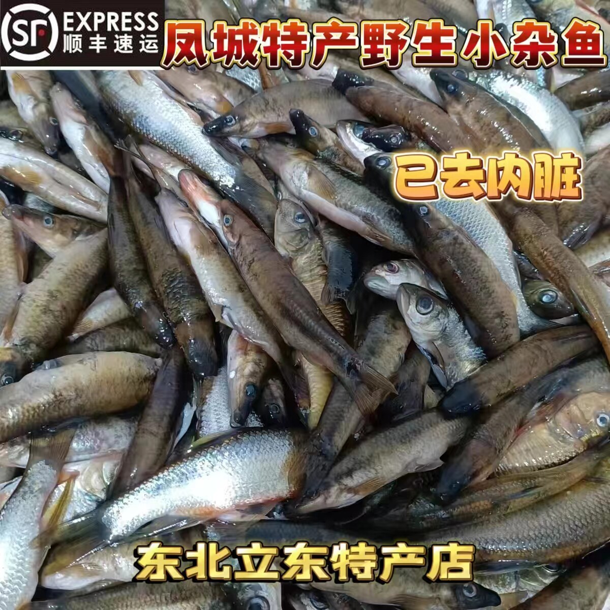 东北辽宁河鱼猪嘴子鱼白票子鱼柳根鱼大眼鱼小杂鱼鲜活冷冻