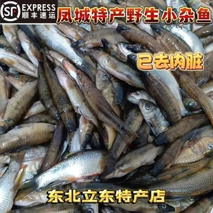 东北辽宁河鱼猪嘴子鱼白票子鱼柳根鱼大眼鱼小杂鱼鲜活速冻