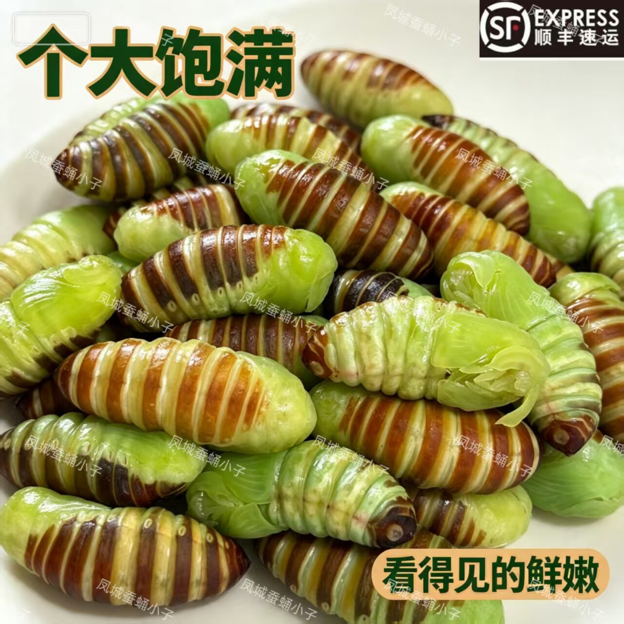 东北特产【神仙蛹】嫩蚕蛹绿色蚕蛹薄皮柞树蚕蛹冷冻神仙蛹