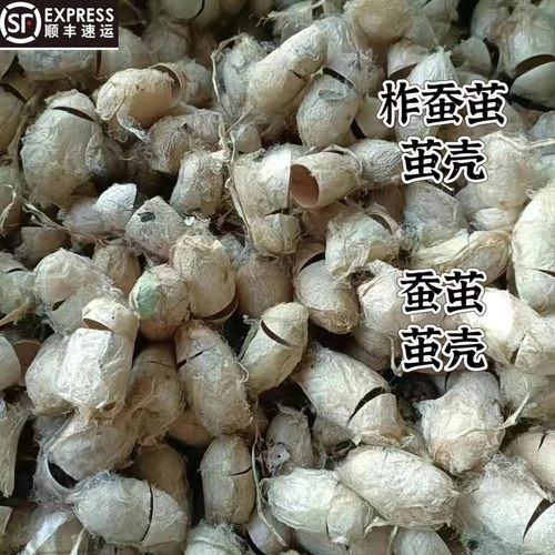 东北凤城柞蚕大茧壳茧蛹壳蛹壳美容壳可拉丝茧壳顺丰