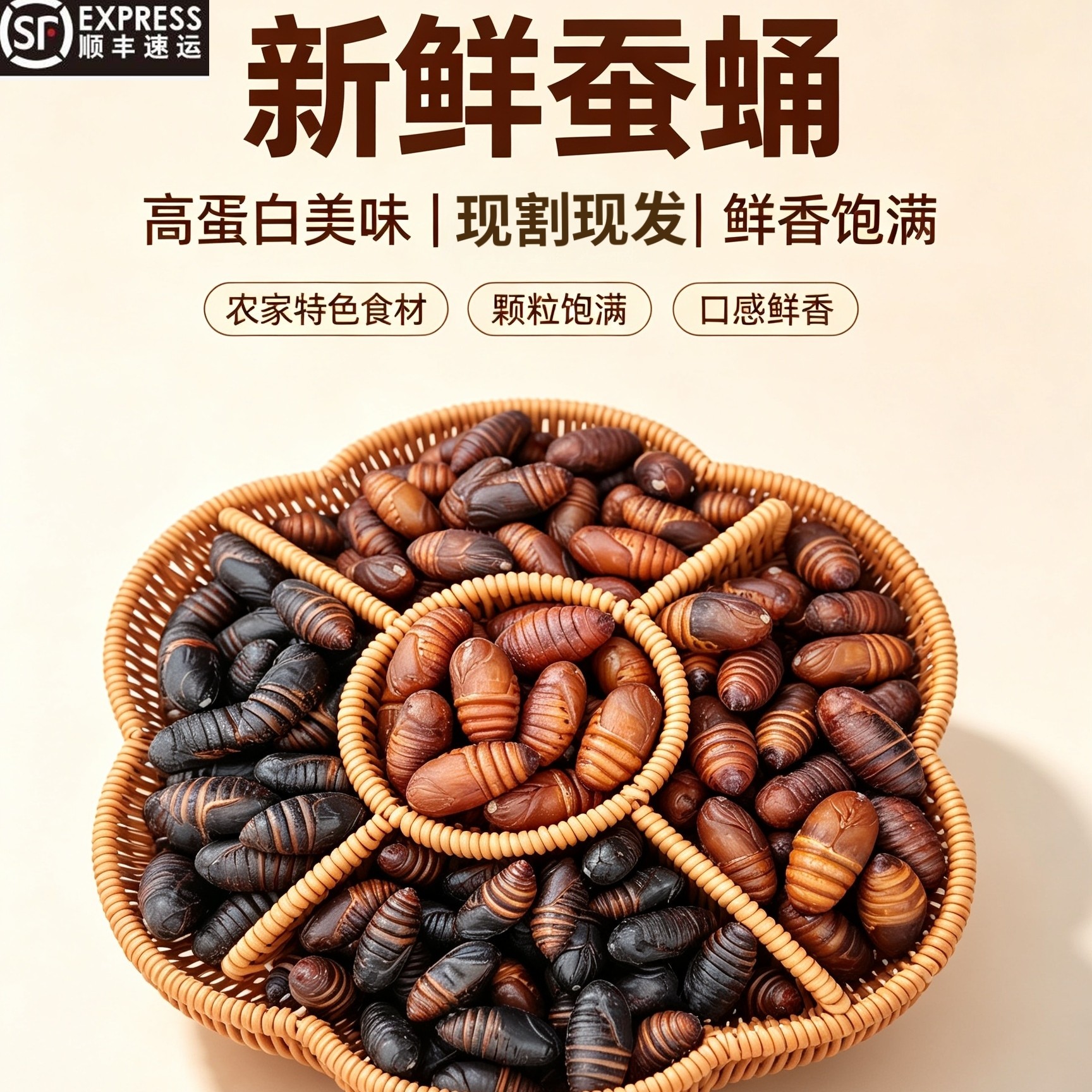 东北特产【各种蚕蛹】新鲜活蚕蛹鲜活野生柞蚕蛹顺丰包邮