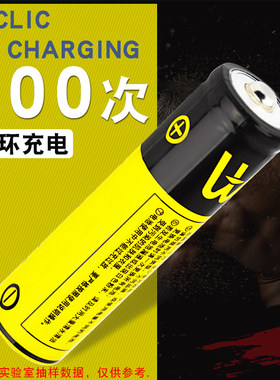 18650锂电池沃尔德26650电池