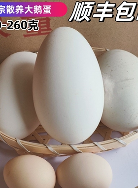 12枚230-260克保真正宗狮头大鹅蛋新鲜农家散养土鹅蛋孕妇顺丰
