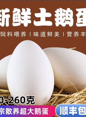 12枚230-260克保真正宗狮头大鹅蛋新鲜农家散养土鹅蛋孕妇顺丰