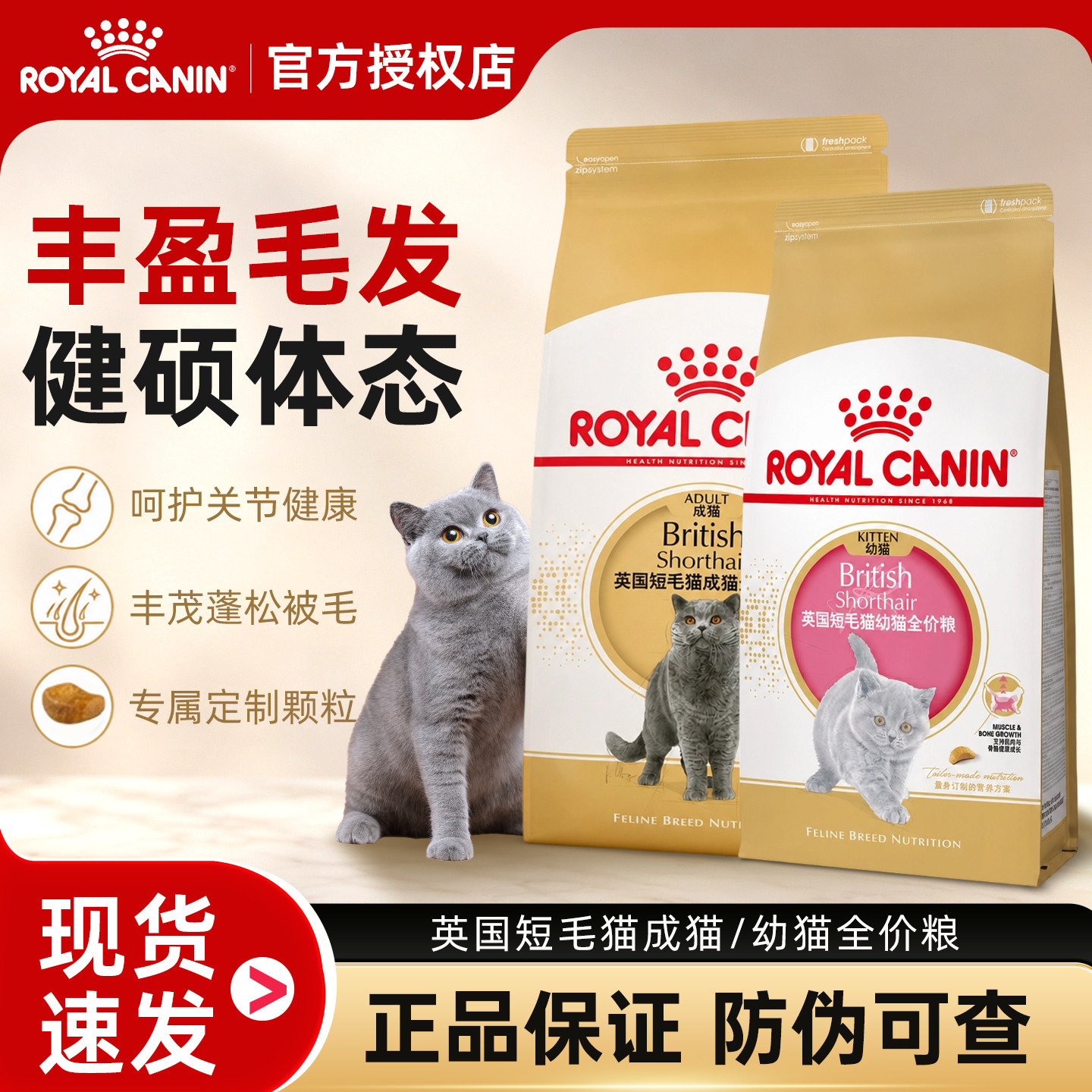 皇家猫粮英短成幼猫专用图片